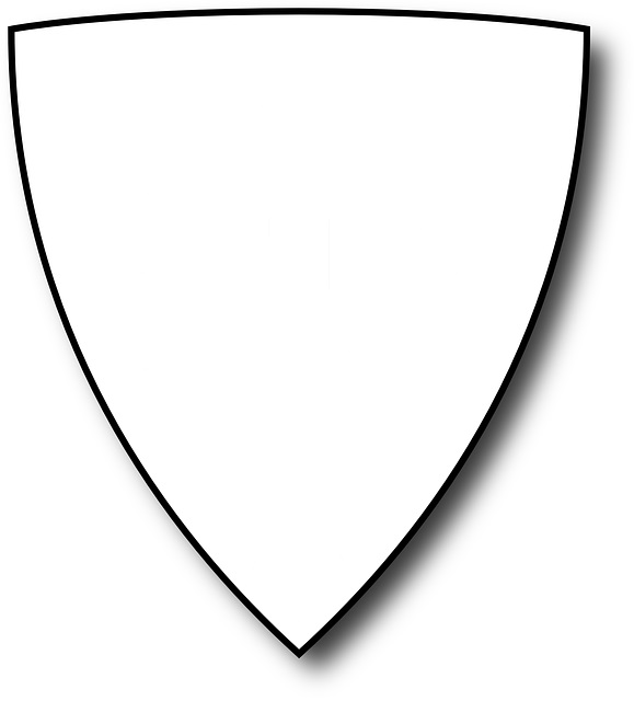 shield blank